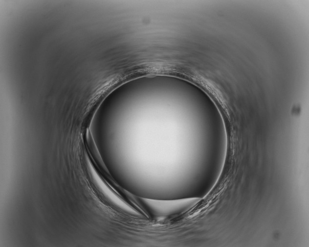 X0000099310105200805091027