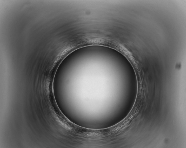 X0000099310106200805091027