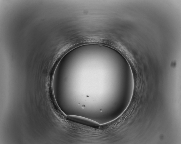 X0000099310107200805091027