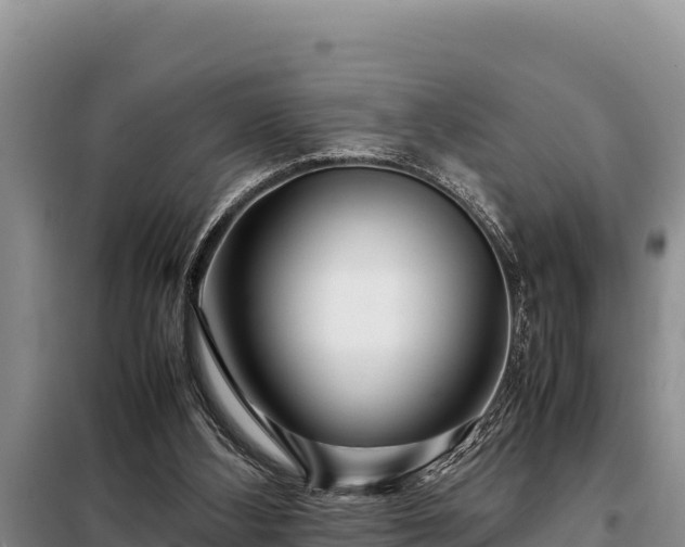 X0000099310108200805091027