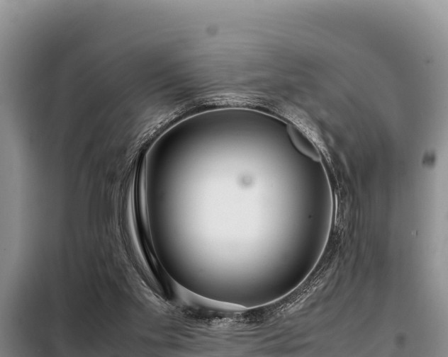 X0000099310109200805091027