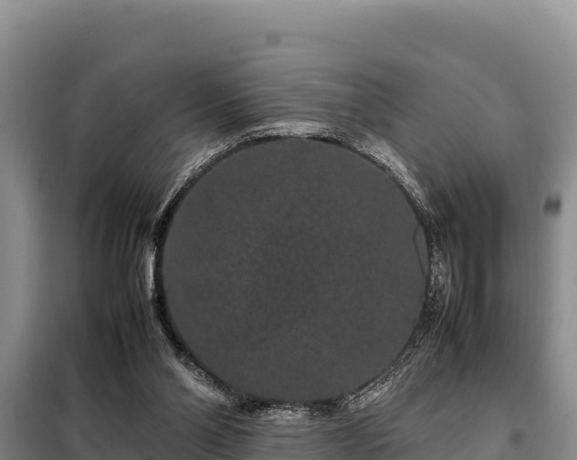 X0000099310110200805091027