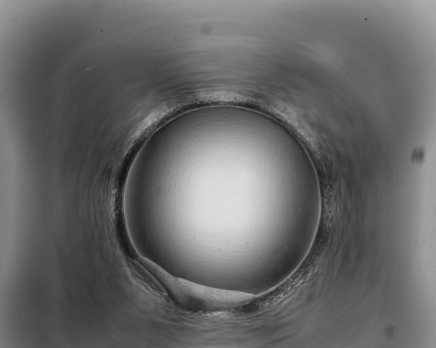 X0000099310111200805091027