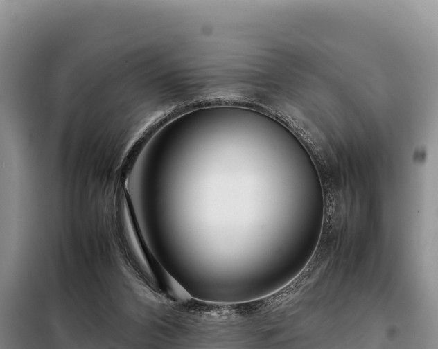 X0000099310112200805091027