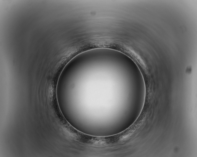 X0000099310113200805091027