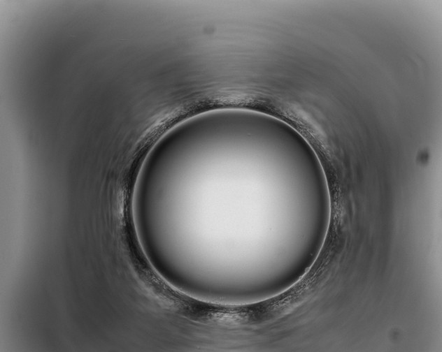 X0000099310115200805091027