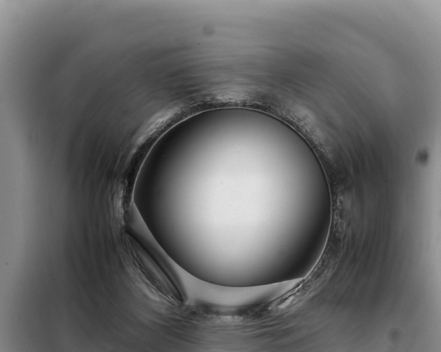 X0000099310116200805091027