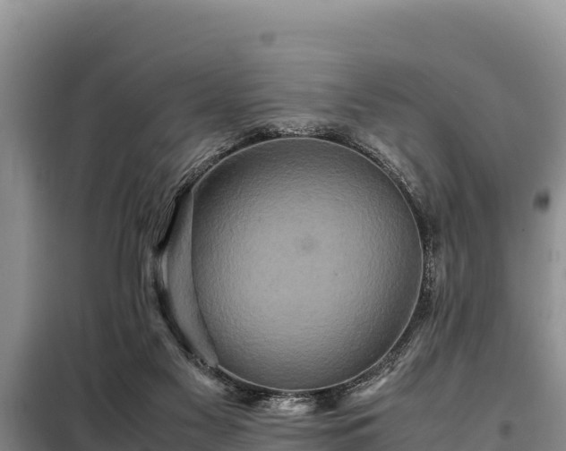 X0000099310117200805091027