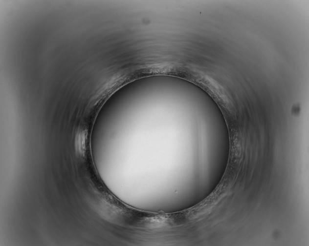 X0000099310118200805091027