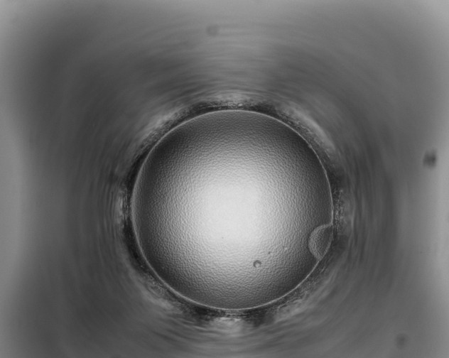 X0000099310119200805091027