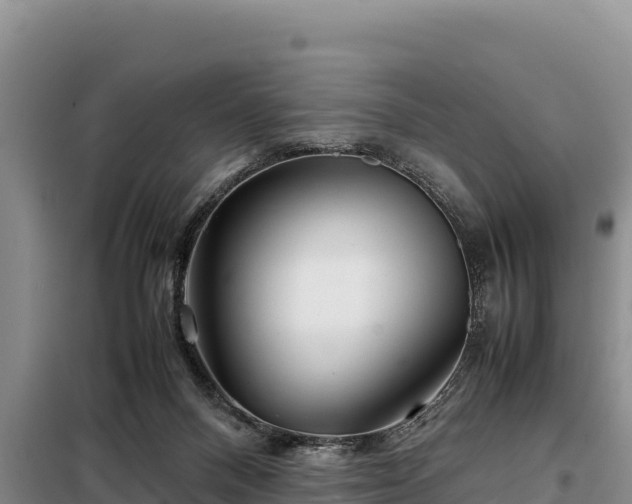 X0000099310120200805091027