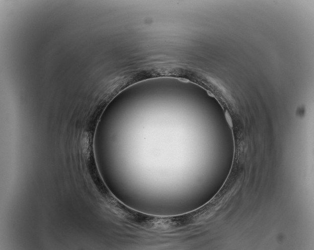 X0000099310121200805091027