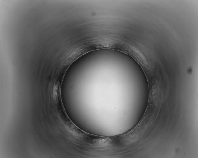 X0000099310122200805091027