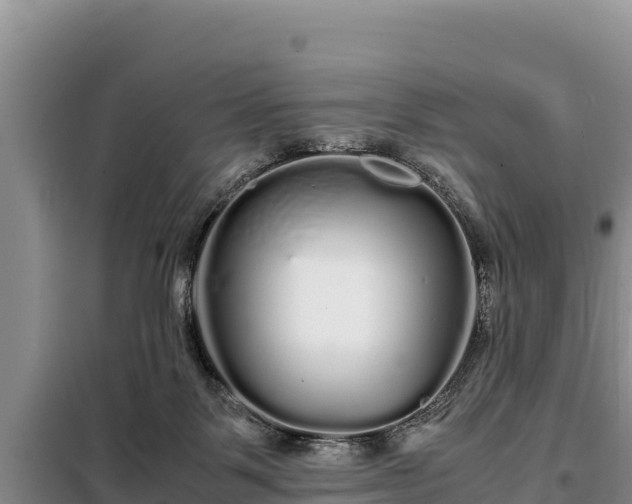 X0000099310123200805091027