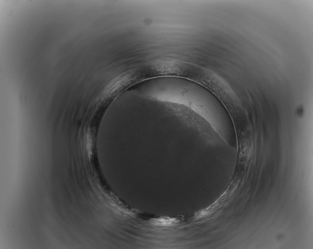 X0000099310124200805091027