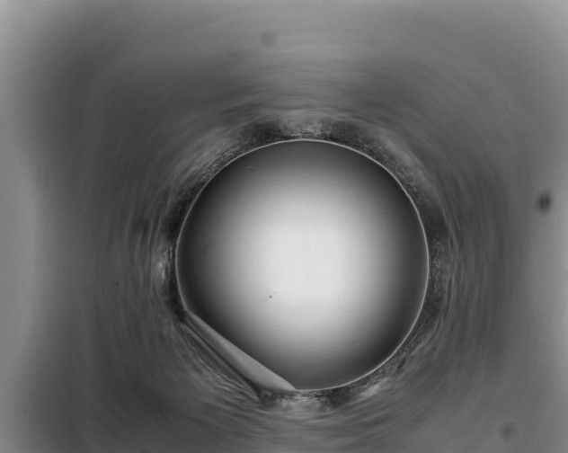 X0000099310125200805091027