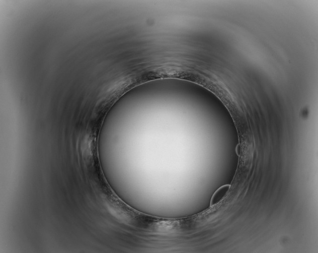 X0000099310126200805091027