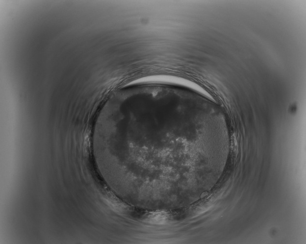 X0000099310127200805091027