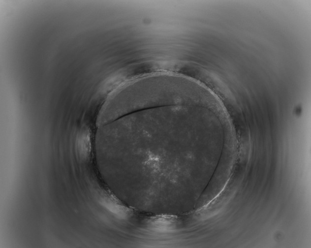 X0000099310128200805091027