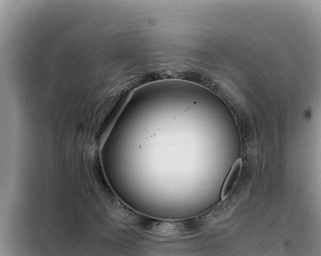 X0000099310129200805091027