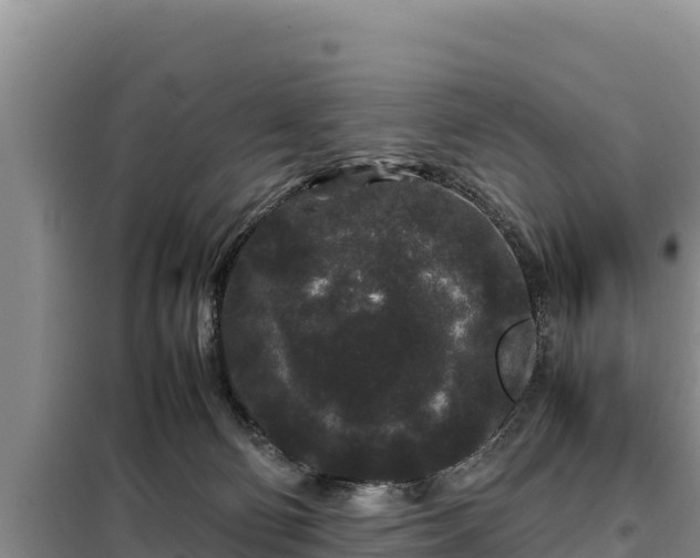 X0000099310130200805091027