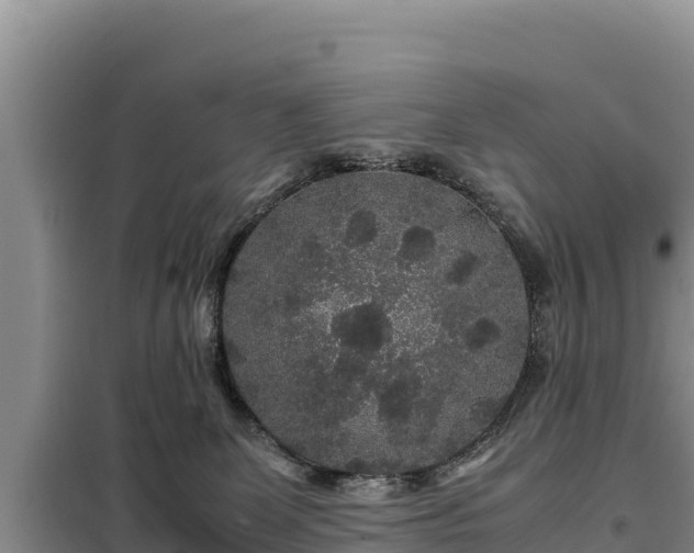 X0000099310131200805091027