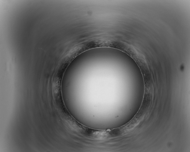 X0000099310133200805091027