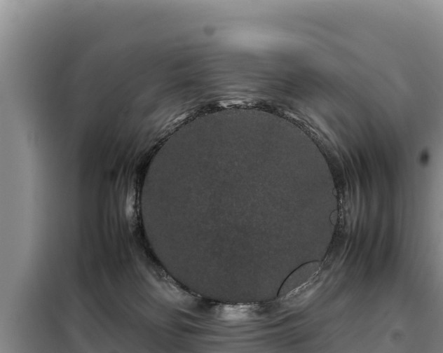 X0000099310134200805091027