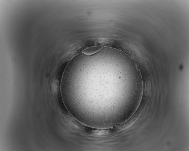 X0000099310135200805091027