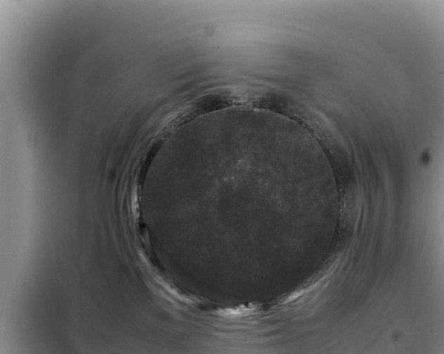 X0000099310137200805091027