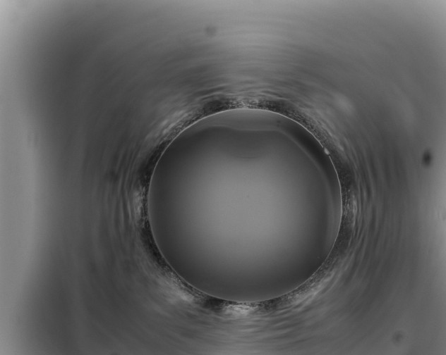 X0000099310139200805091027