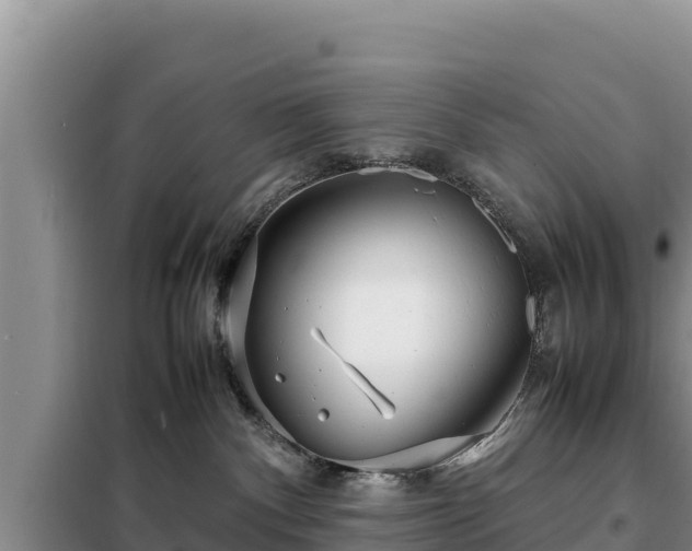 X0000099310140200805091027