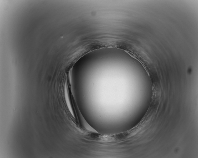 X0000099310141200805091027