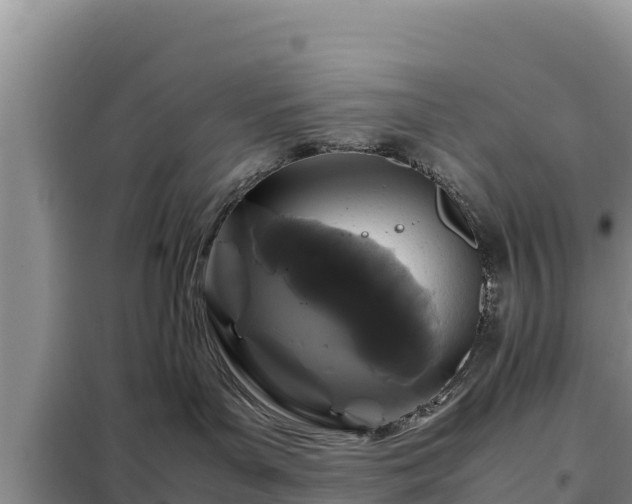 X0000099310143200805091027