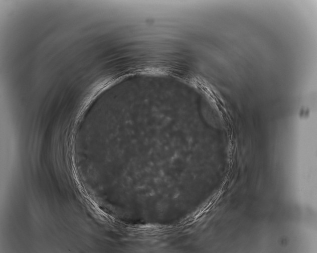 X0000099310145200805091026