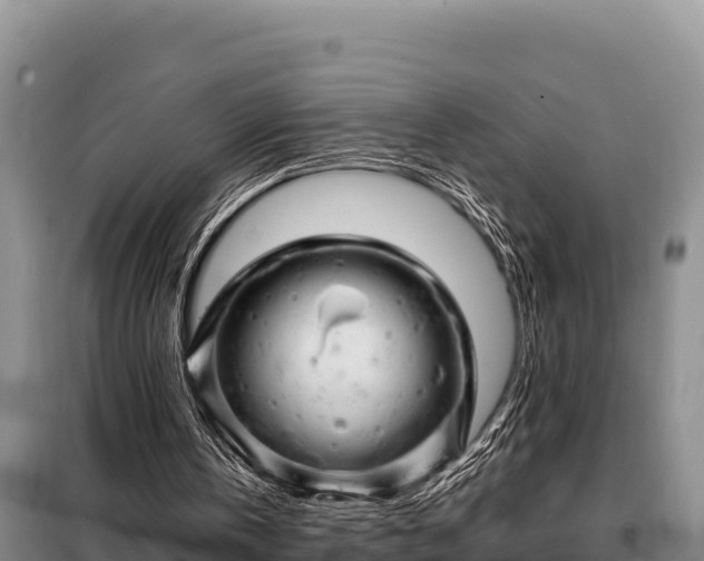 X0000099310146200805091026