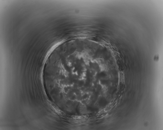 X0000099310147200805091026