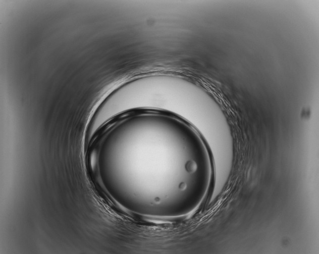 X0000099310148200805091026