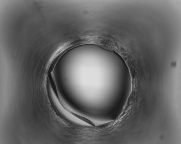 X0000099310150200805091026