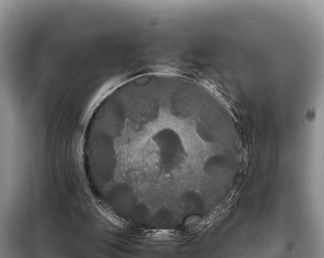 X0000099310151200805091026