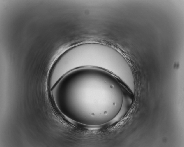 X0000099310152200805091026