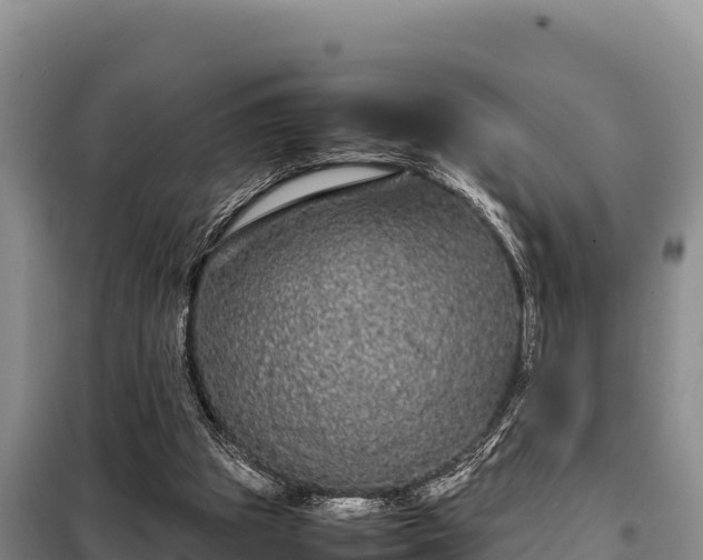 X0000099310153200805091026