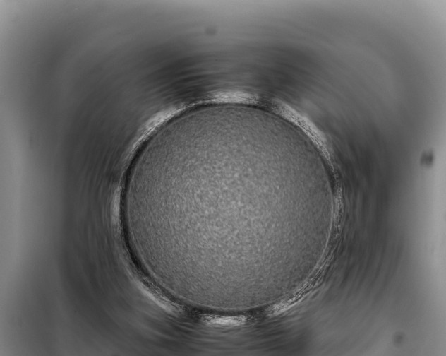 X0000099310155200805091026