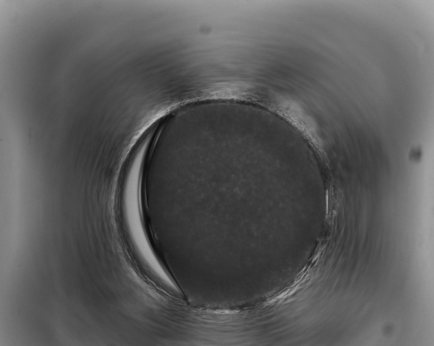 X0000099310156200805091026