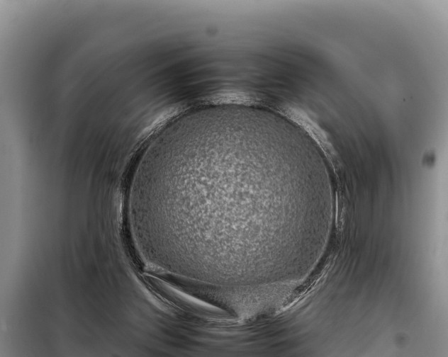 X0000099310157200805091026