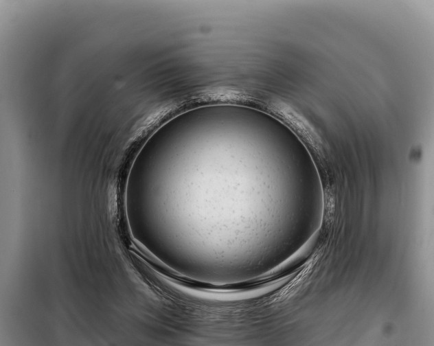 X0000099310158200805091026