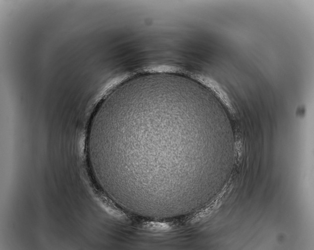 X0000099310159200805091026