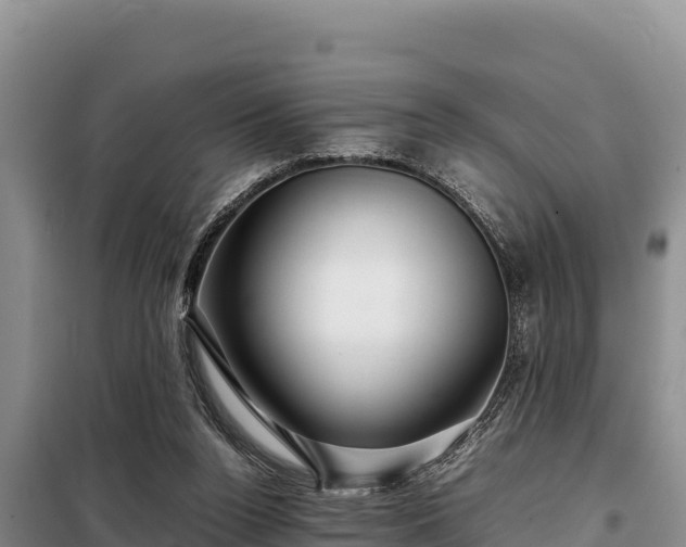 X0000099310160200805091026