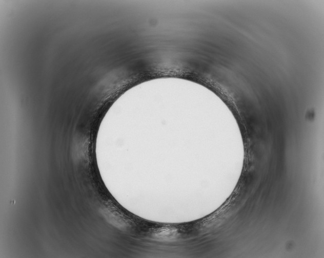 X0000099310162200805091026