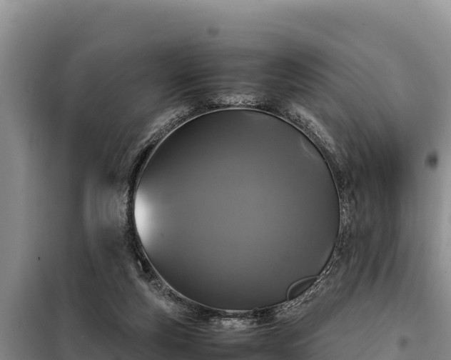 X0000099310163200805091026